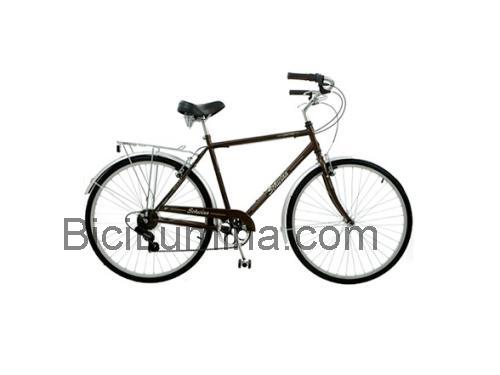 Schwinn Gateway opinión y ficha técnica